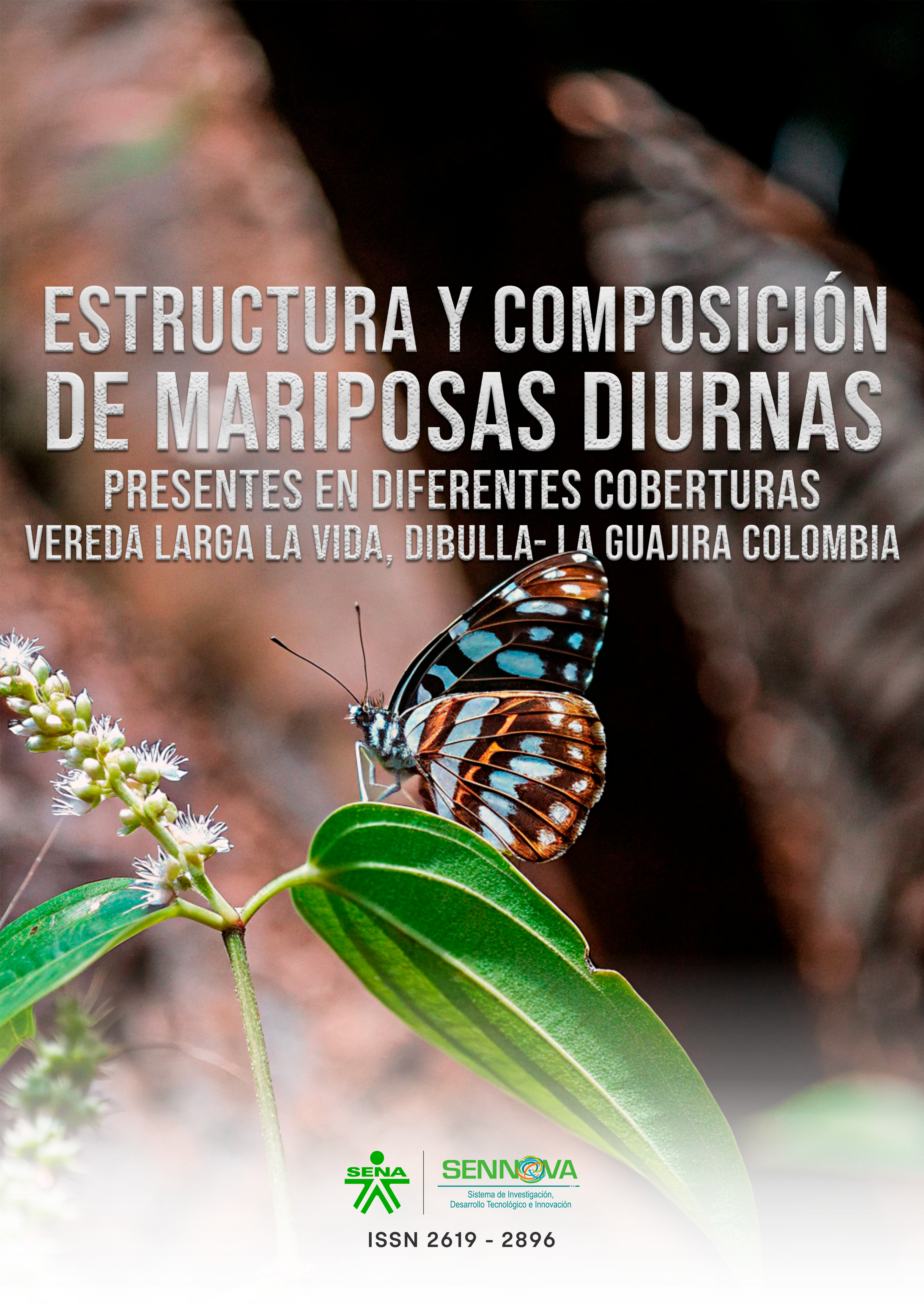 ESTRUCTURA Y COMPOSICIÓN DE MARIPOSAS