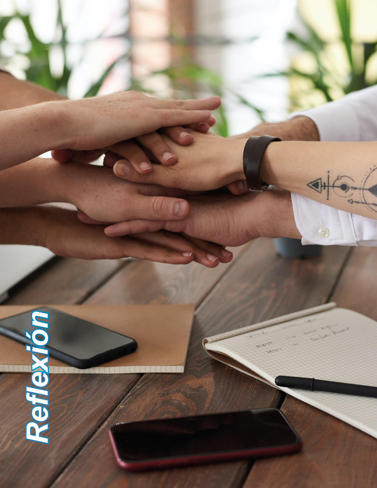 formación profesional