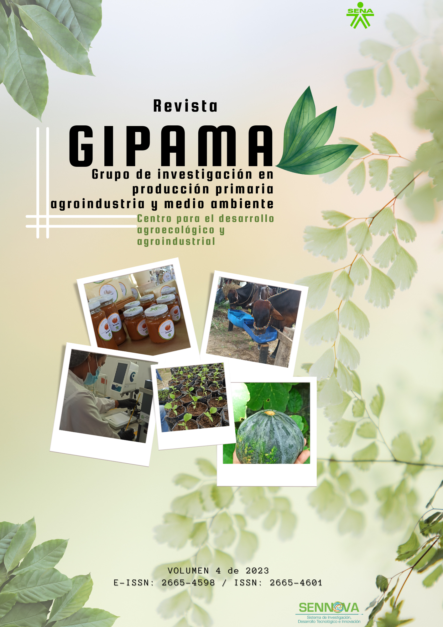 Preliminares de la REvista GIPAMA Vol. 4