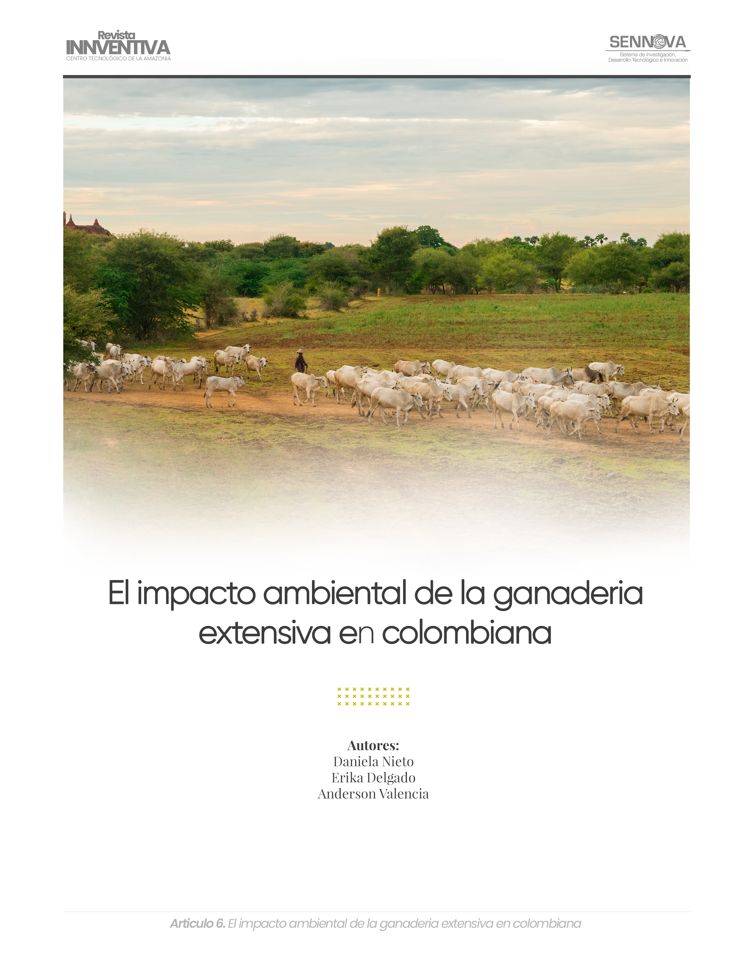 El impacto ambiental de la ganaderia extensiva en colombiana