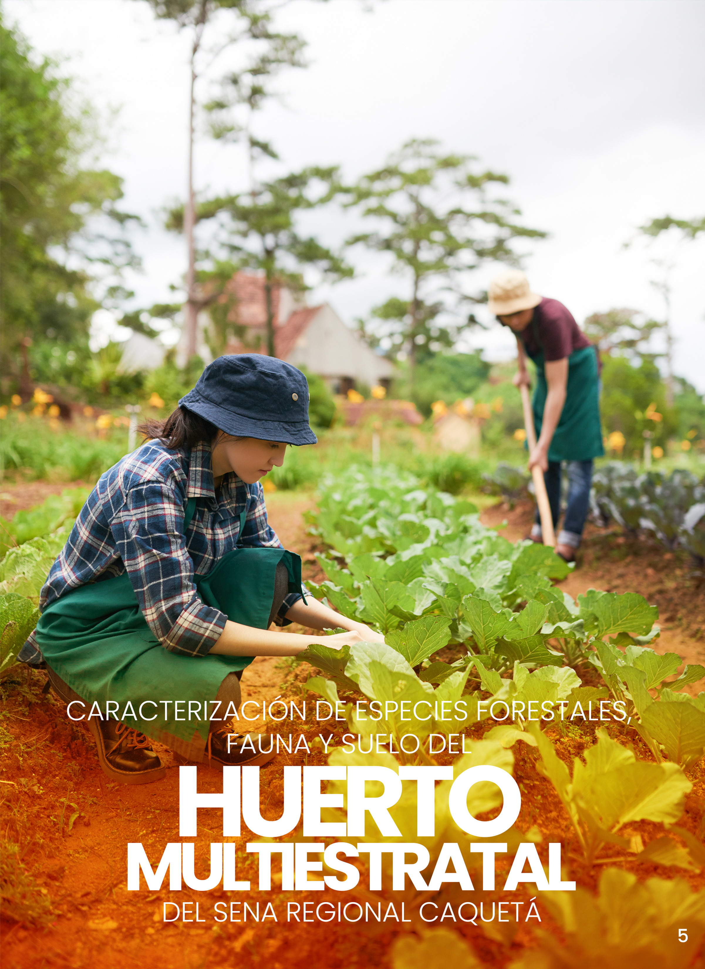 Dos personas laborando en un huerto